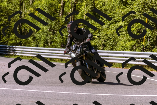 202508311034-_DSC7544_d1_