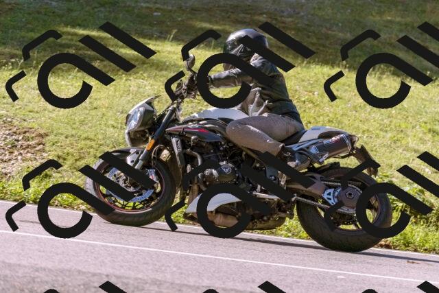 202508311035-_DSC7561_d1_