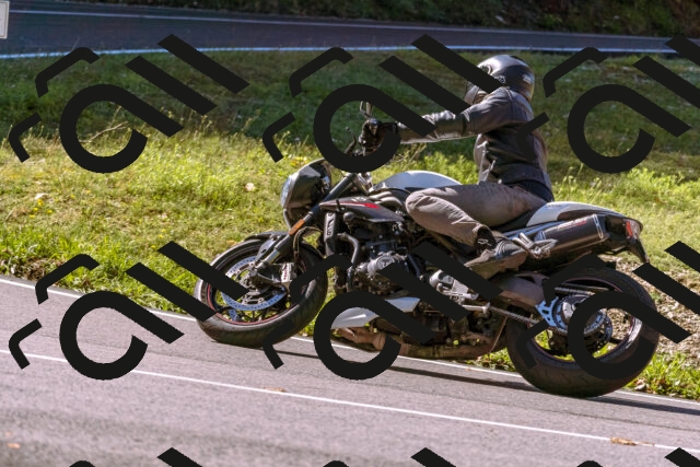 202508311035-_DSC7562_d1_