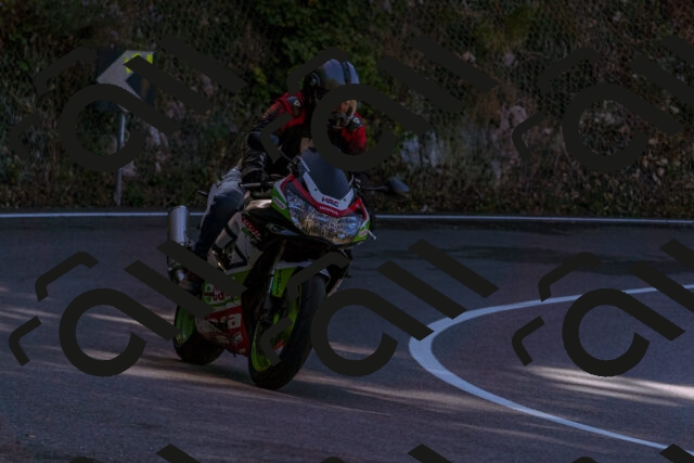 202508311035-_DSC7563_d1_