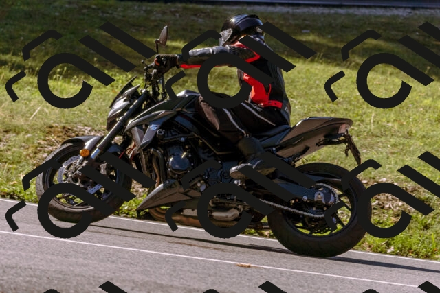 202508311039-_DSC7582_d1_