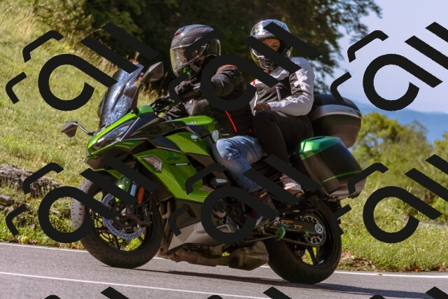 202508311047-_DSC7610_d1_