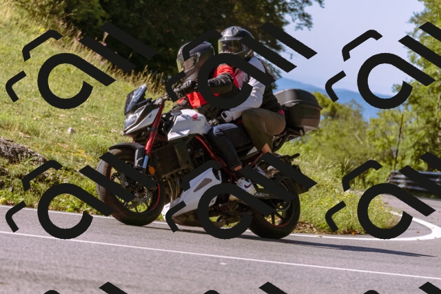 202508311047-_DSC7611_d1_