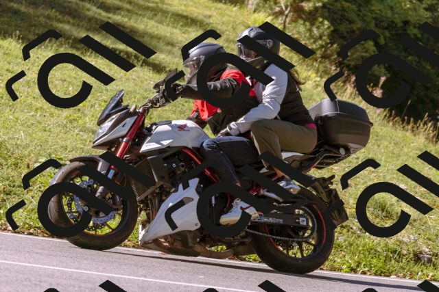 202508311047-_DSC7612_d1_