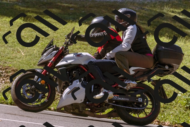 202508311047-_DSC7613_d1_