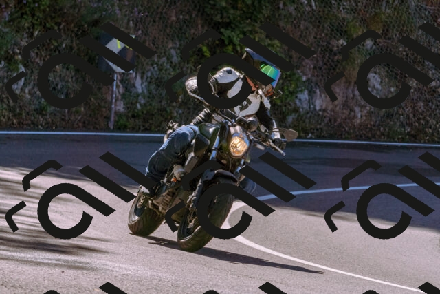 202508311102-_DSC7660_d1_