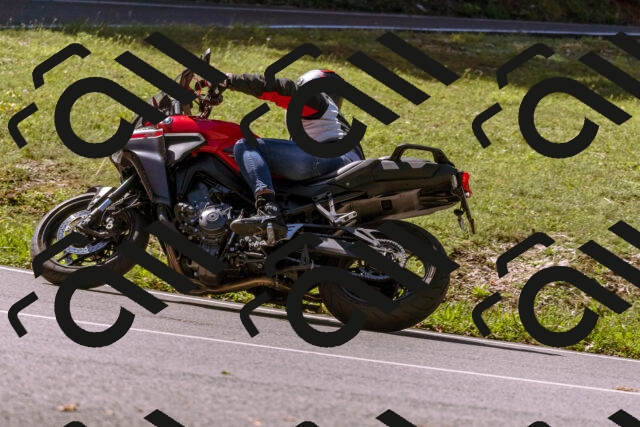 202508311104-_DSC7682_d1_