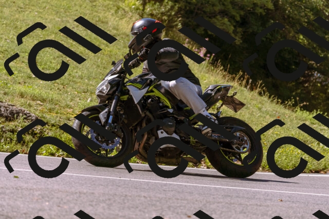 202508311106-_DSC7718_d1_