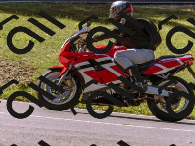 202508311107-_DSC7741_d1_