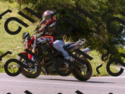 202508311107-_DSC7746_d1_