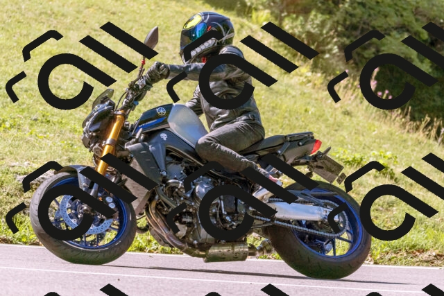 202508311112-_DSC7818_d1_