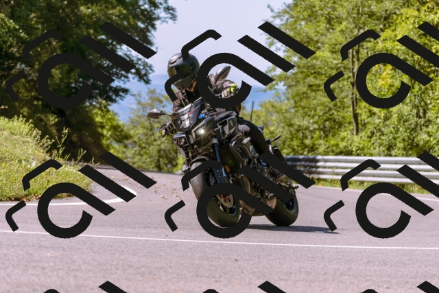 202508311112-_DSC7819_d1_