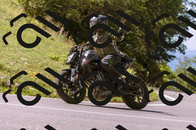 202508311121-_DSC7881_d1_