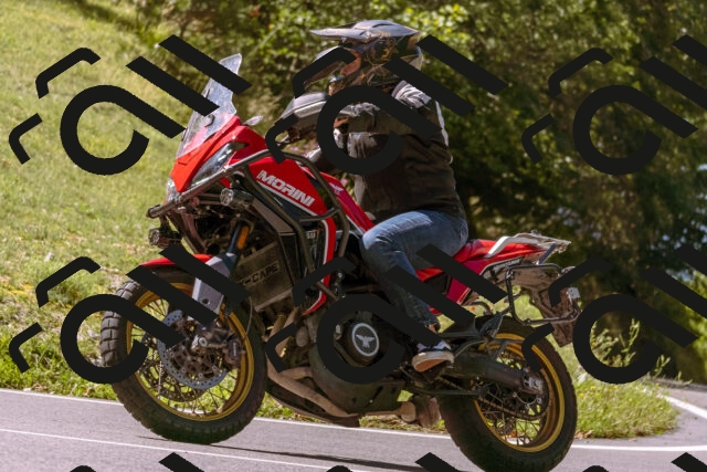 202508311127-_DSC7938_d1_