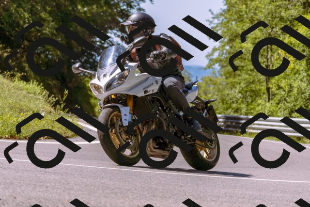 202508311129-_DSC7952_d1_