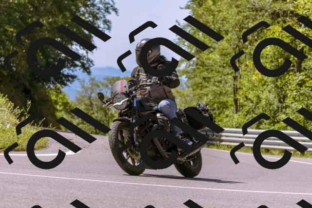 202508311143-_DSC8051_d1_