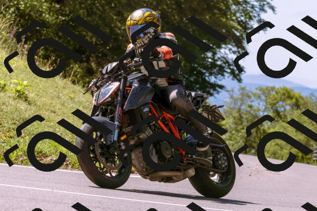 202508311152-_DSC8106_d1_