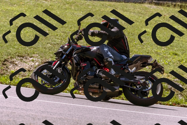 202508311152-_DSC8113_d1_