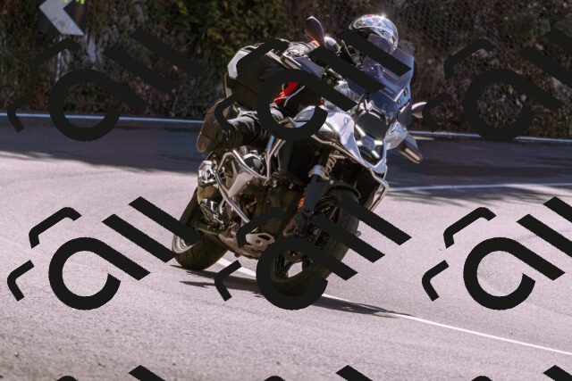 202508311155-_DSC8141_d1_