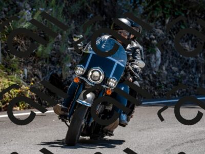 202508311249-_DSC6728_d2_