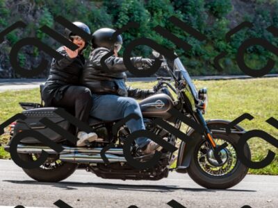 202508311249-_DSC6731_d2_