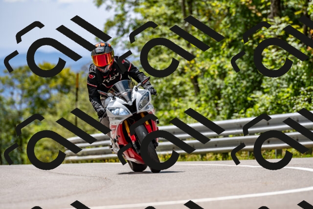 202508311258-_DSC6766_d2_