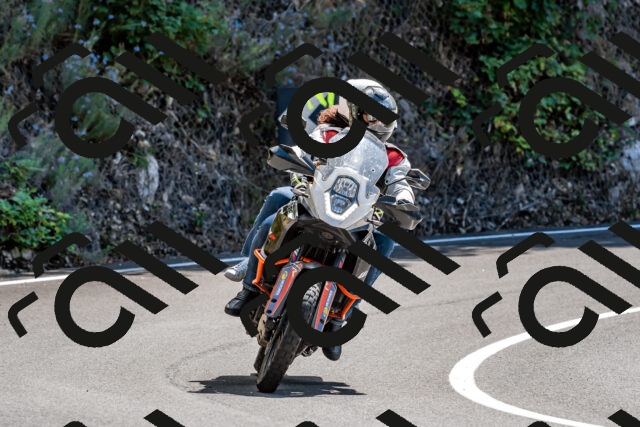 202508311302-_DSC6772_d2_