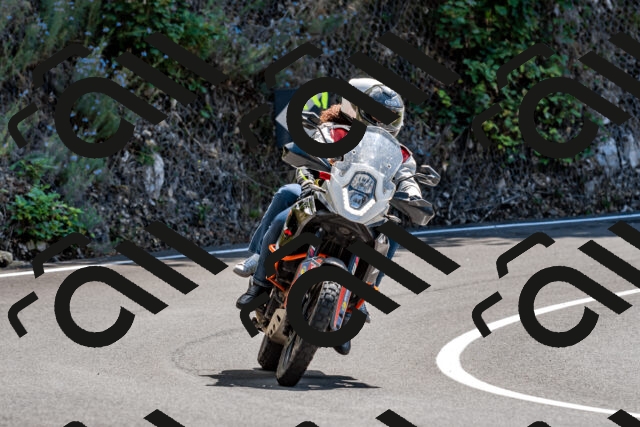 202508311302-_DSC6773_d2_