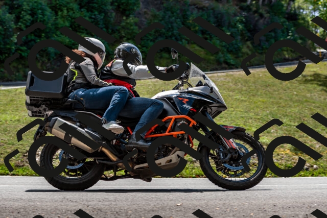 202508311302-_DSC6775_d2_