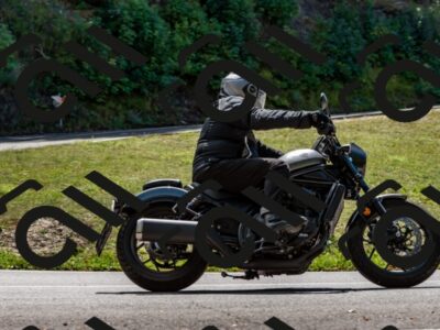 202508311306-_DSC6787_d2_