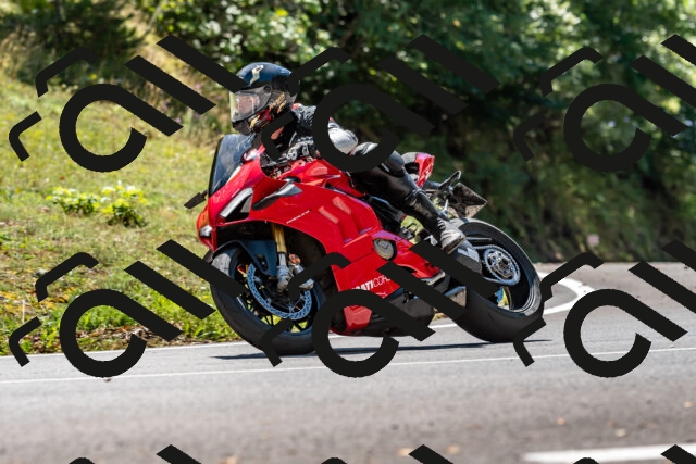 202508311320-_DSC6878_d2_