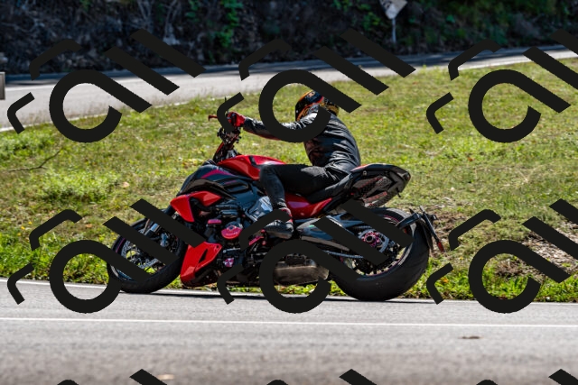 202508311320-_DSC6884_d2_