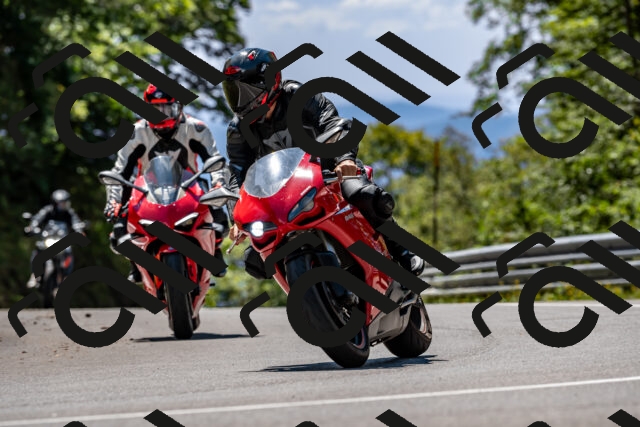 202508311321-_DSC6896_d2_