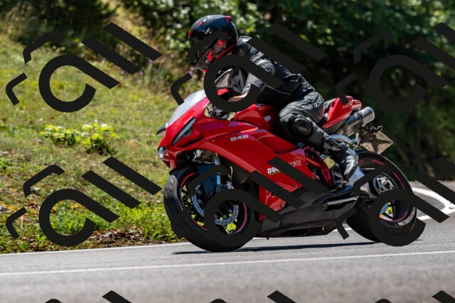 202508311321-_DSC6897_d2_