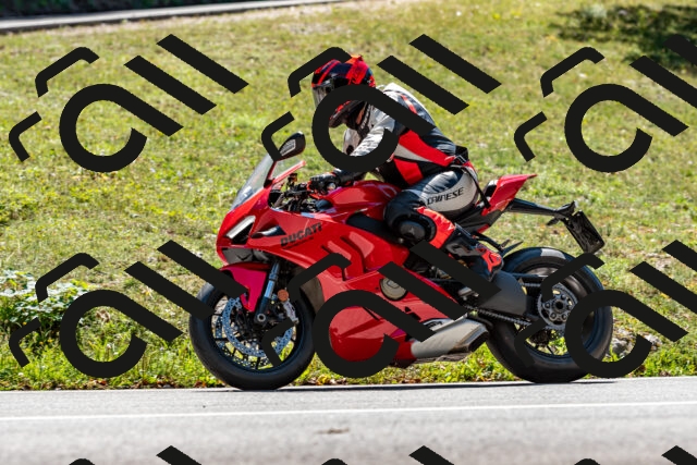 202508311321-_DSC6900_d2_