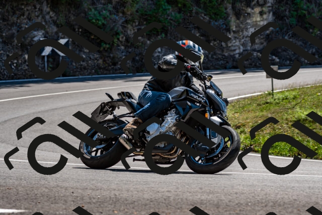 202508311331-_DSC6956_d2_