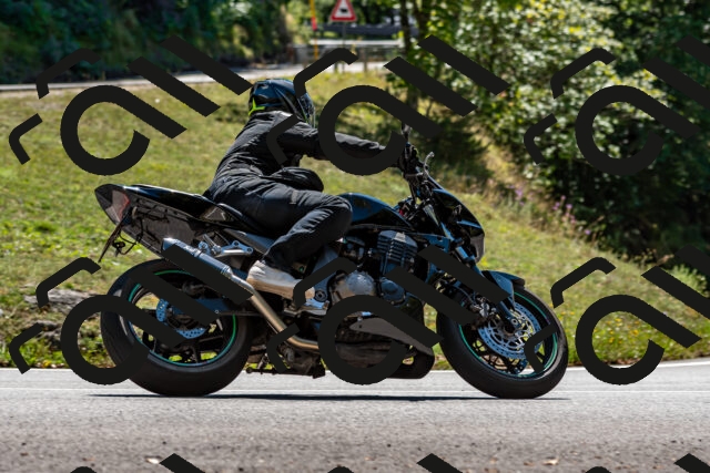 202508311331-_DSC6961_d2_