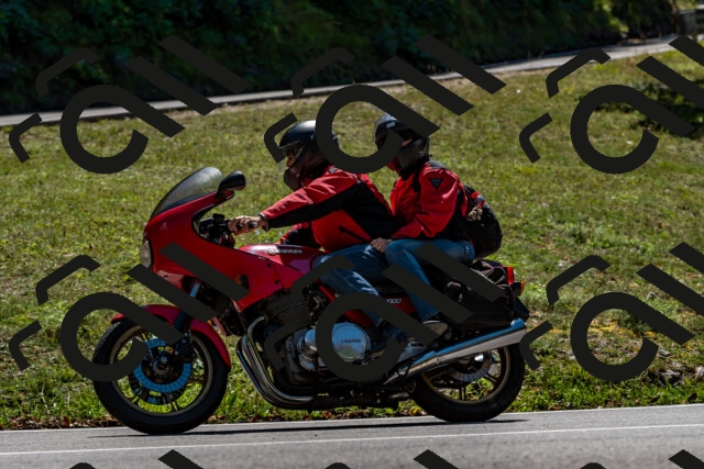 202508311335-_DSC6966_d2_