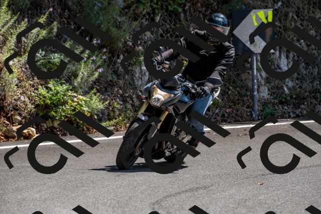 202508311338-_DSC6971_d2_