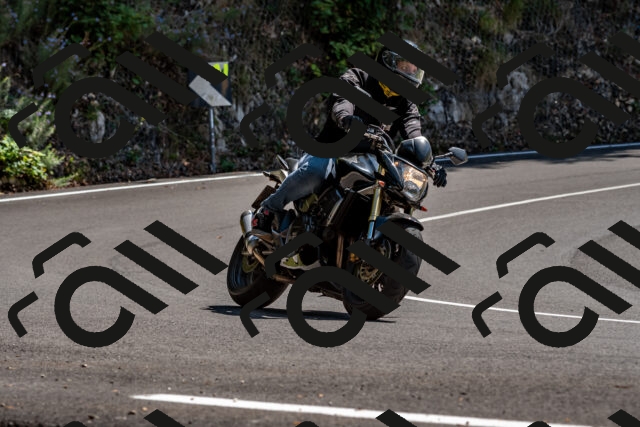 202508311338-_DSC6972_d2_