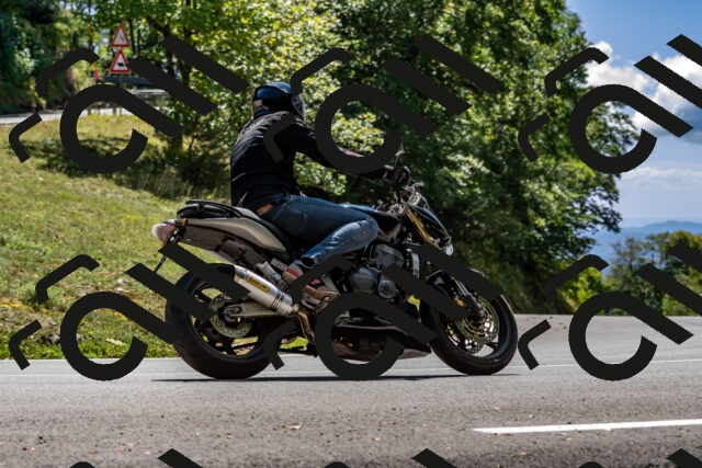 202508311338-_DSC6973_d2_