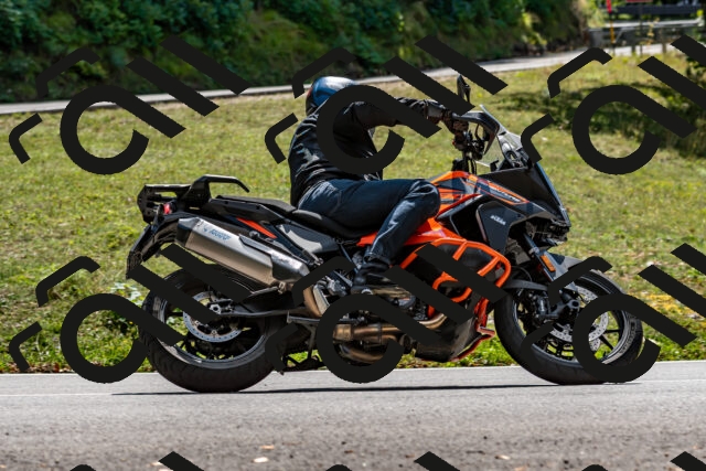 202508311341-_DSC6983_d2_