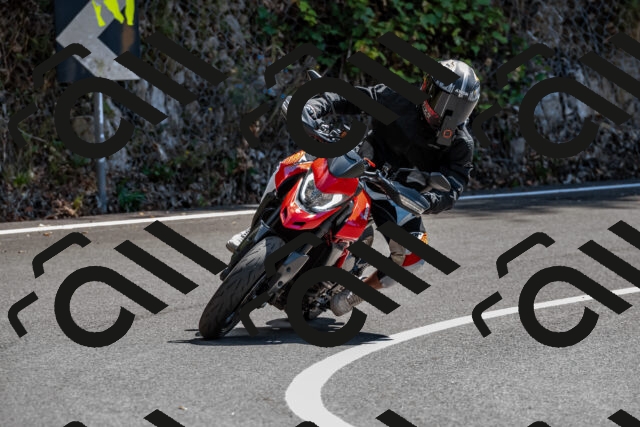 202508311342-_DSC6984_d2_