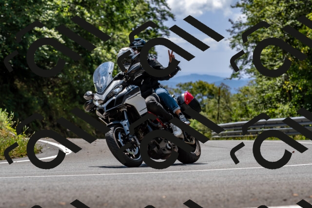 202508311342-_DSC6989_d2_