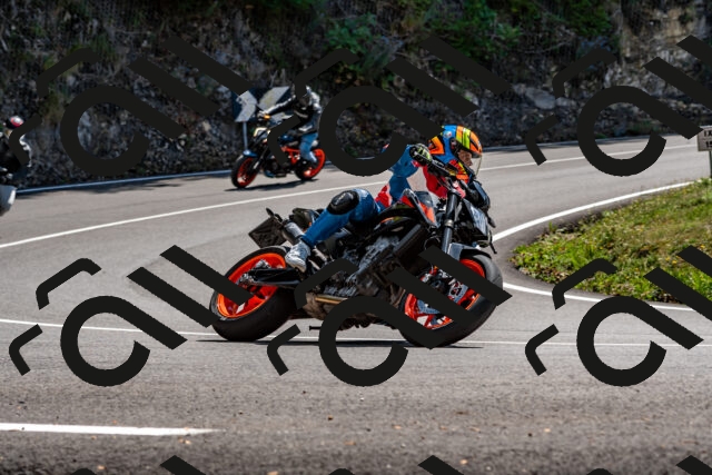 202508311343-_DSC7003_d2_