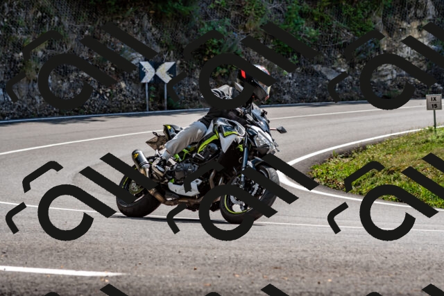 202508311343-_DSC7007_d2_