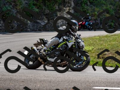 202508311343-_DSC7008_d2_