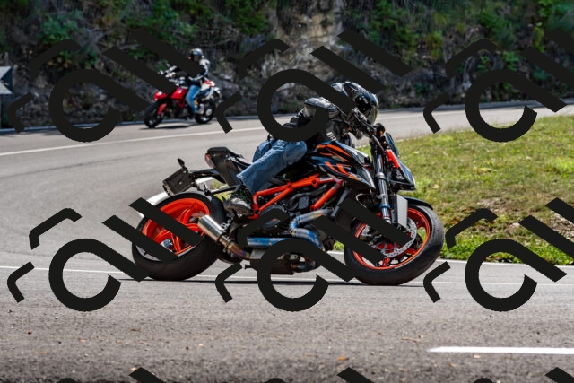 202508311343-_DSC7009_d2_