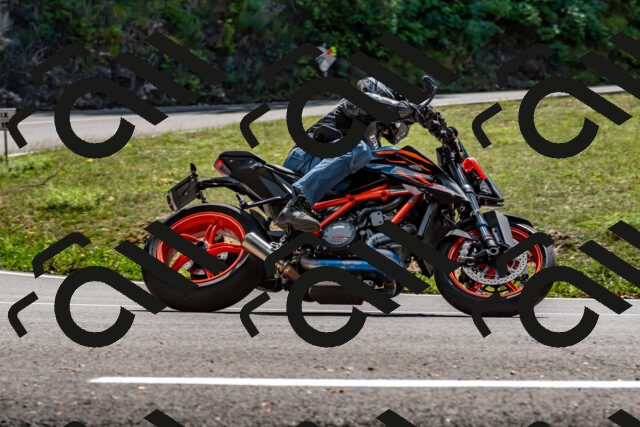 202508311343-_DSC7010_d2_