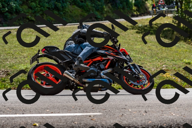 202508311343-_DSC7012_d2_